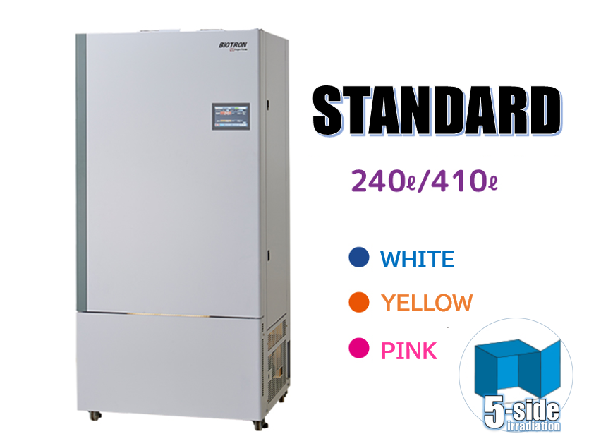 standard-ENG-1